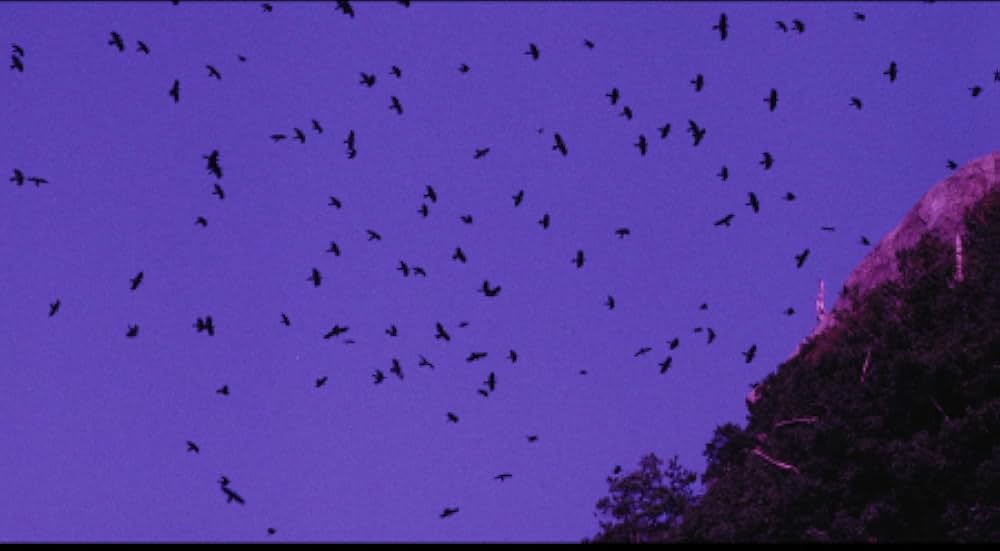 ドグラ・マグラの画像