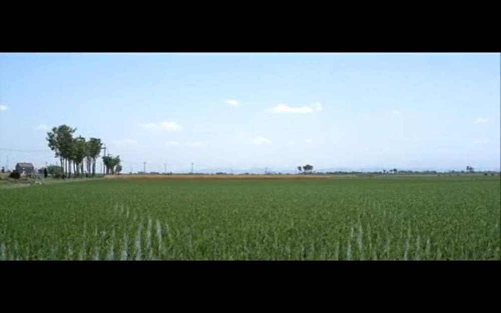 男はつらいよ 旅と女と寅次郎の画像