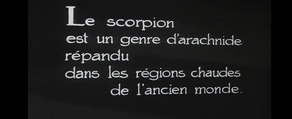 愛の犯罪者／ラヴ・イズ・パーフェクト・クライムの画像