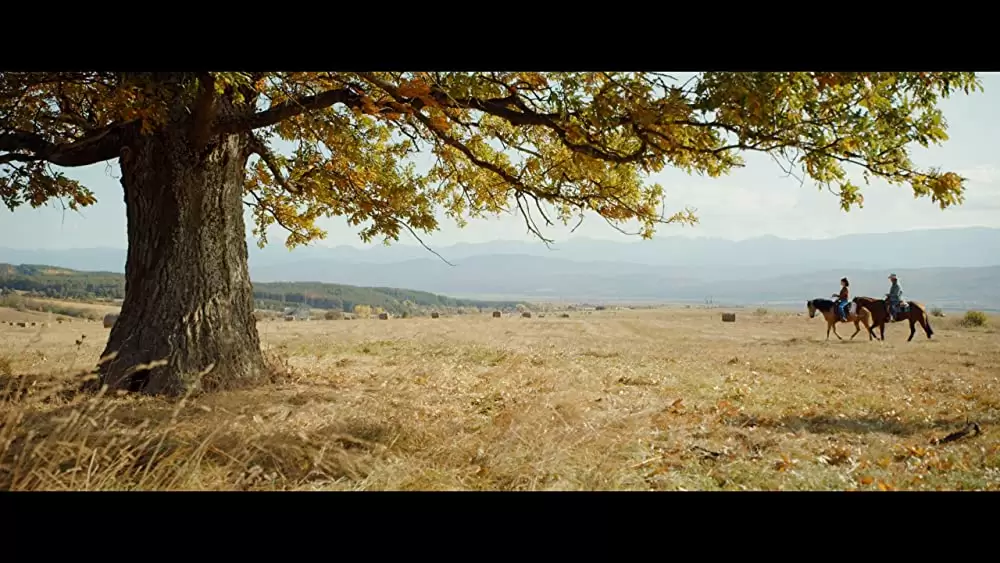 ランボー ラスト・ブラッドの画像