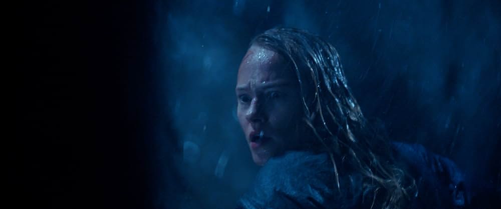 ランボー ラスト・ブラッドの画像