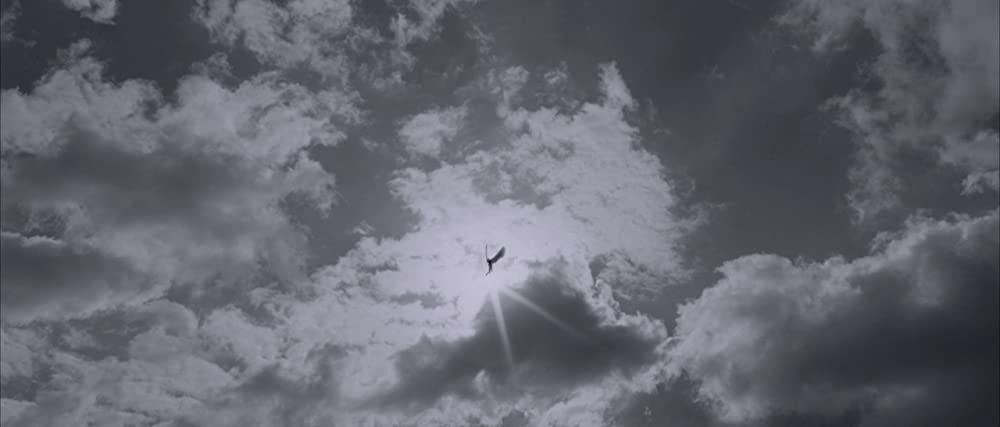 アンジェラの画像