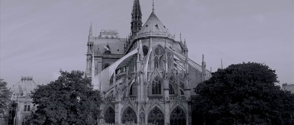 アンジェラの画像