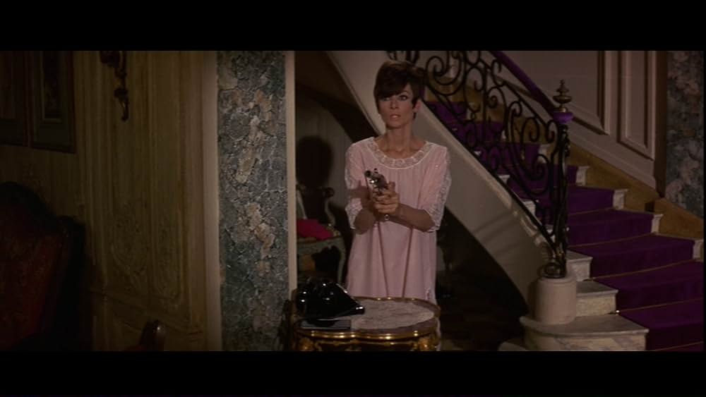 おしゃれ泥棒の画像