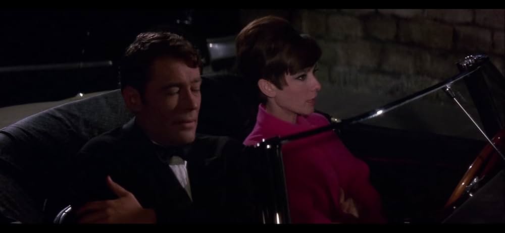 おしゃれ泥棒の画像