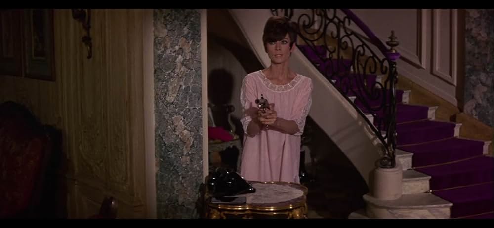 おしゃれ泥棒の画像