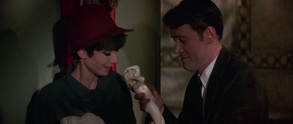 おしゃれ泥棒の画像