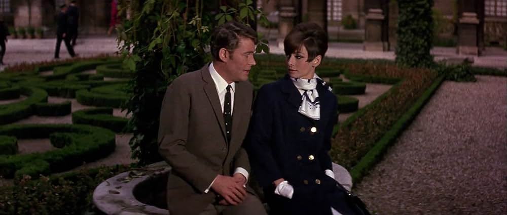 おしゃれ泥棒の画像