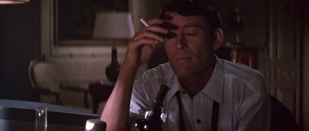 おしゃれ泥棒の画像