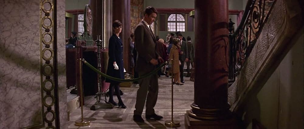 おしゃれ泥棒の画像