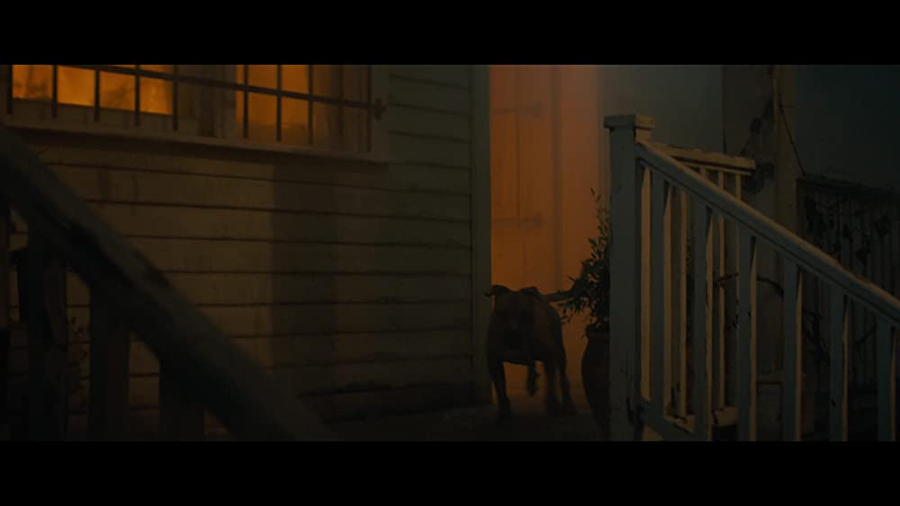 「ドント・ブリーズ２」の画像