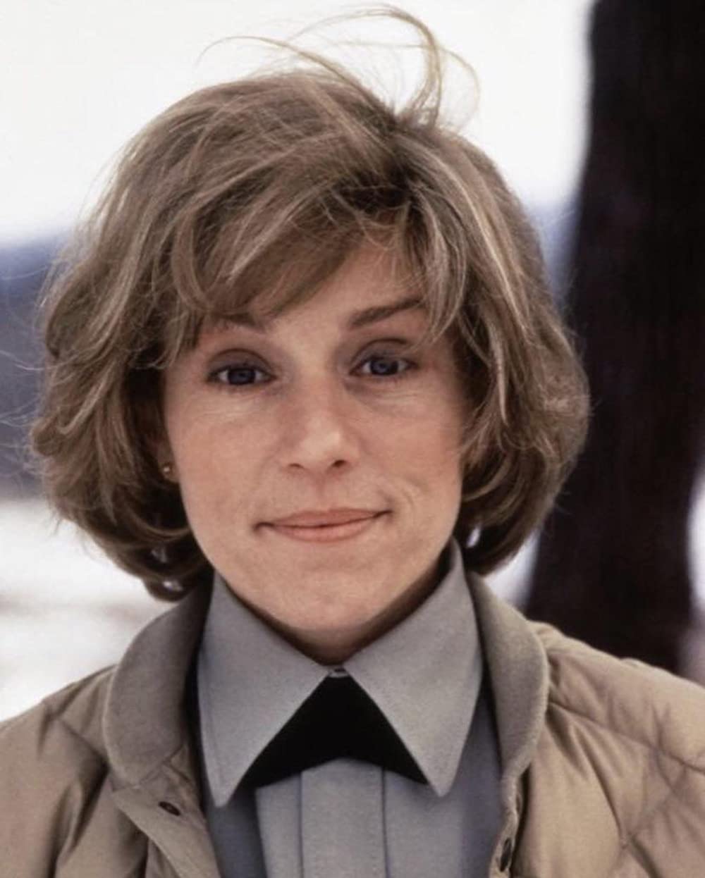 ファーゴの画像