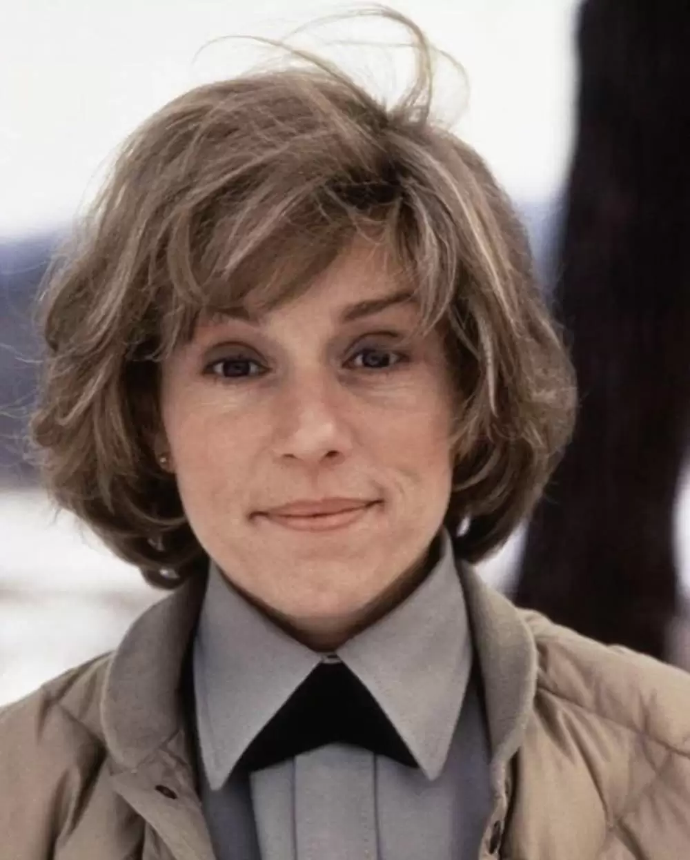 ファーゴの画像