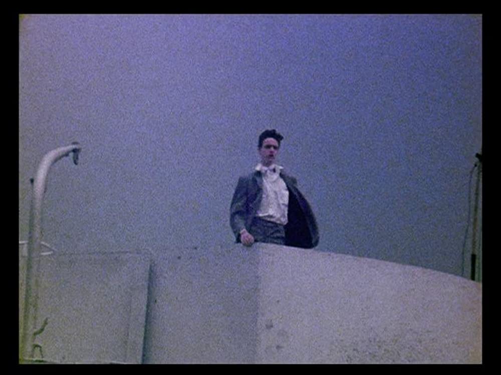 パーマネント・バケーションの画像