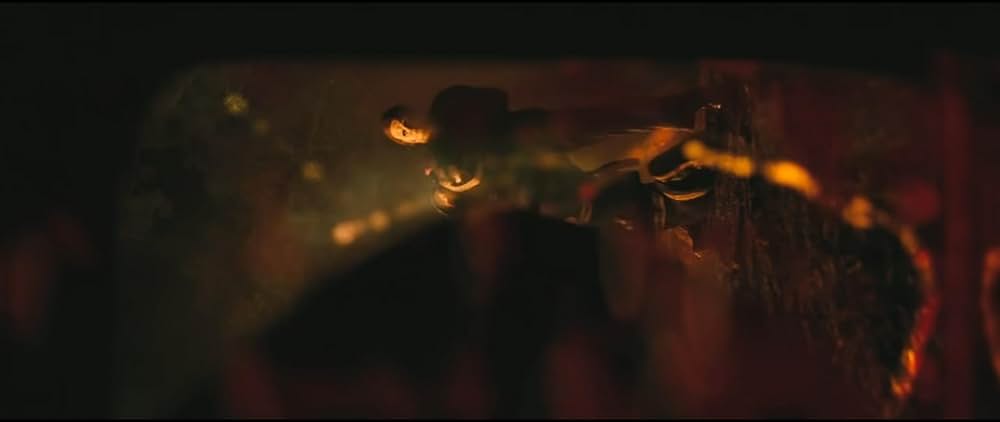 「ハロウィン KILLS」の画像