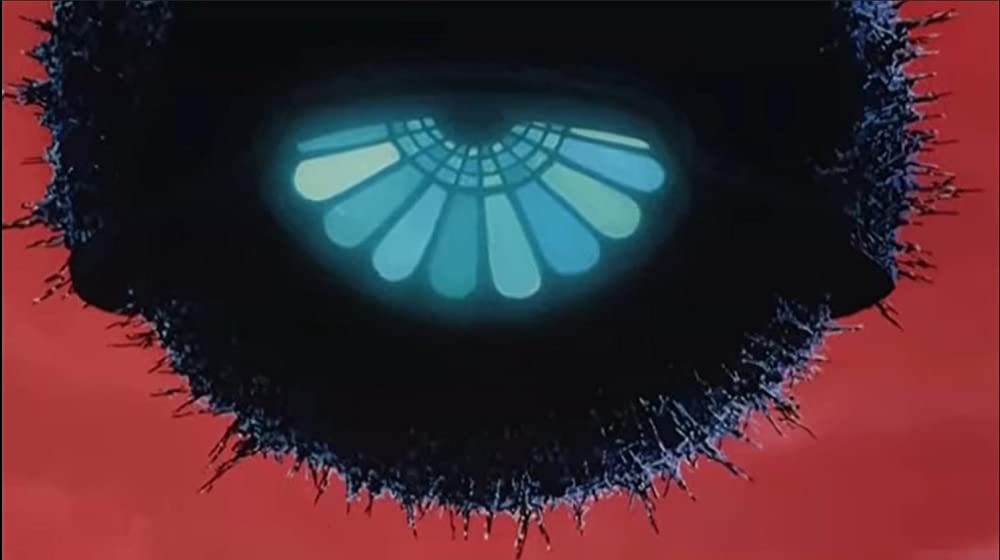 天使のたまごの画像