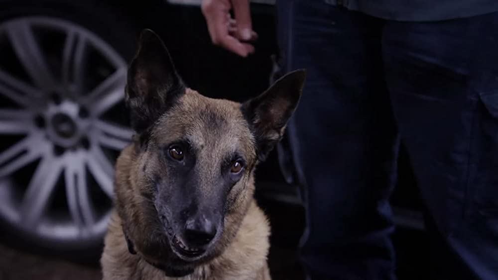 ベンジェンス －復讐の自省録－／リベンジャー －復讐者－の画像