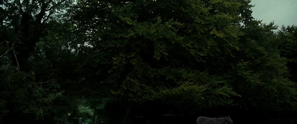 オンディーヌ 海辺の恋人の画像