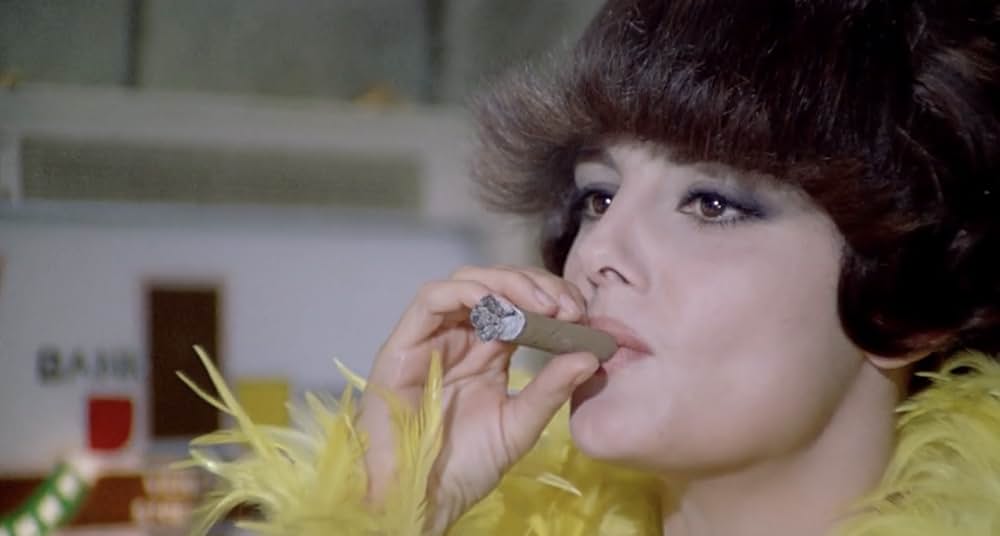 続・黄金の七人／レインボー作戦の画像