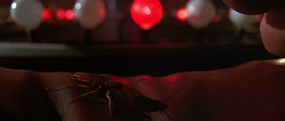 死の標的の画像