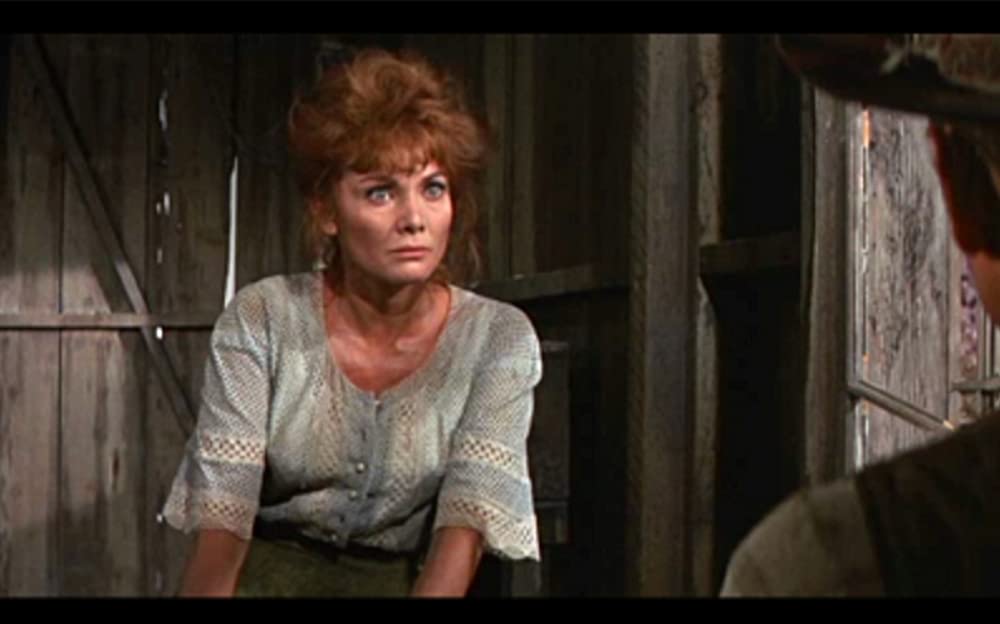 太陽の中の対決の画像