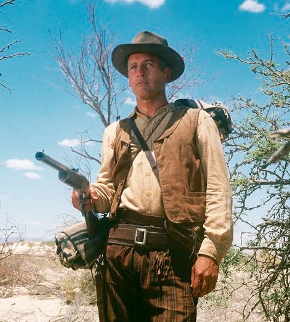 太陽の中の対決の画像