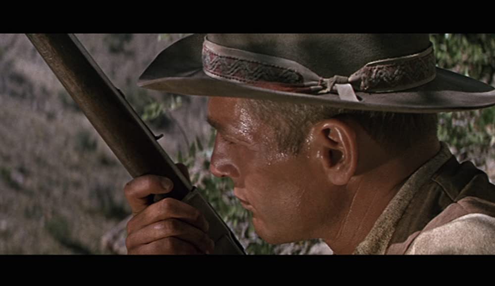 太陽の中の対決の画像