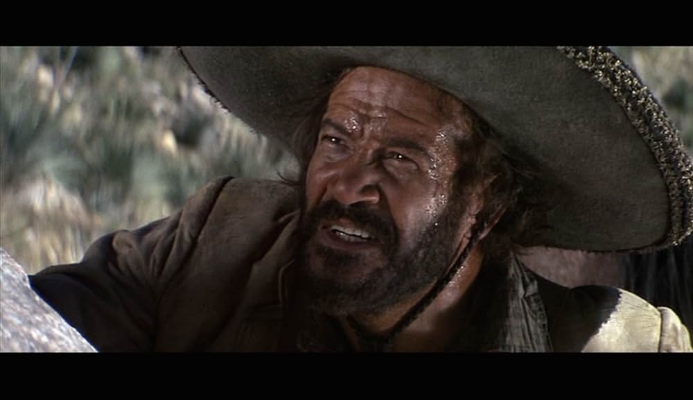 太陽の中の対決の画像