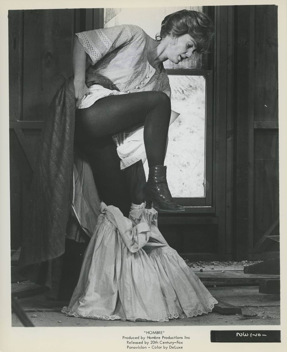 太陽の中の対決の画像