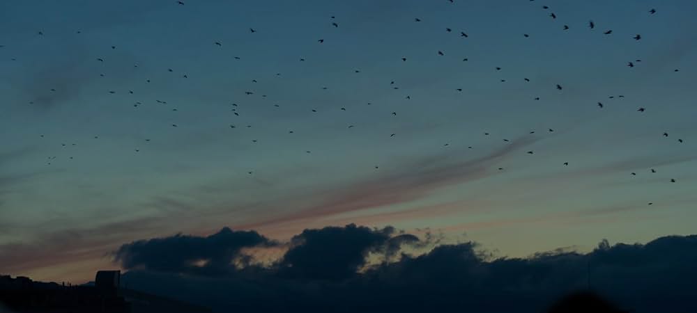 流浪の月の画像