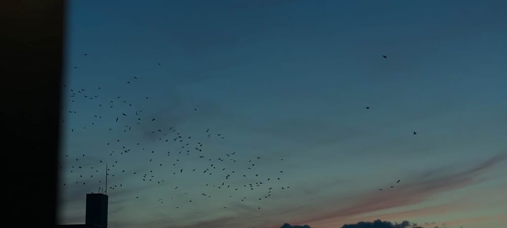 流浪の月の画像