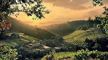 雲の中で散歩の画像