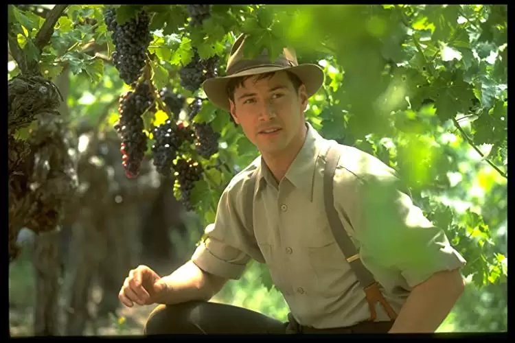 雲の中で散歩の画像