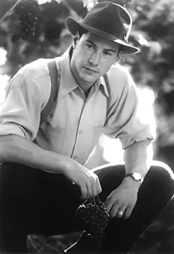 雲の中で散歩の画像