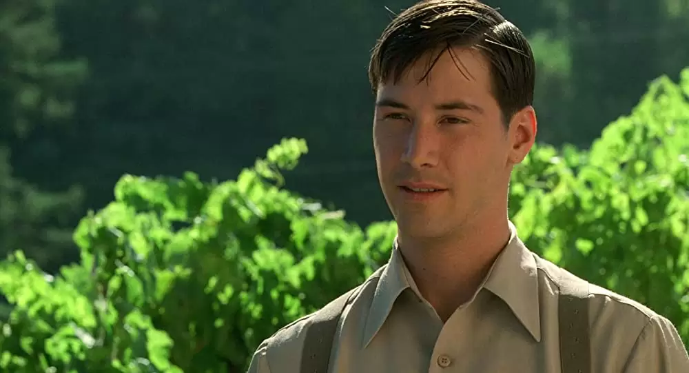 雲の中で散歩の画像