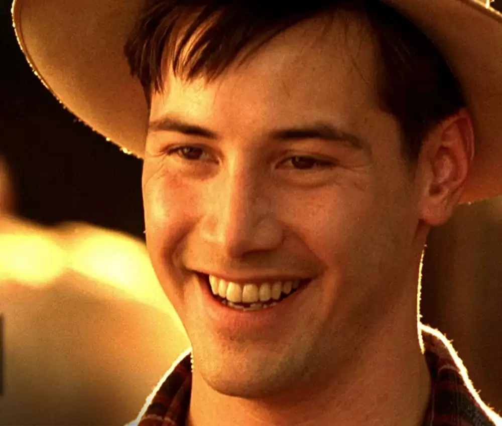 雲の中で散歩の画像