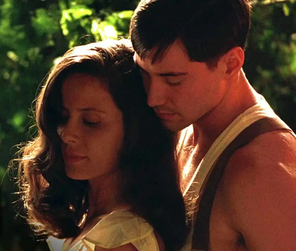 雲の中で散歩の画像