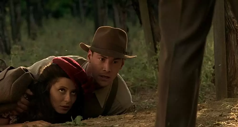 雲の中で散歩の画像