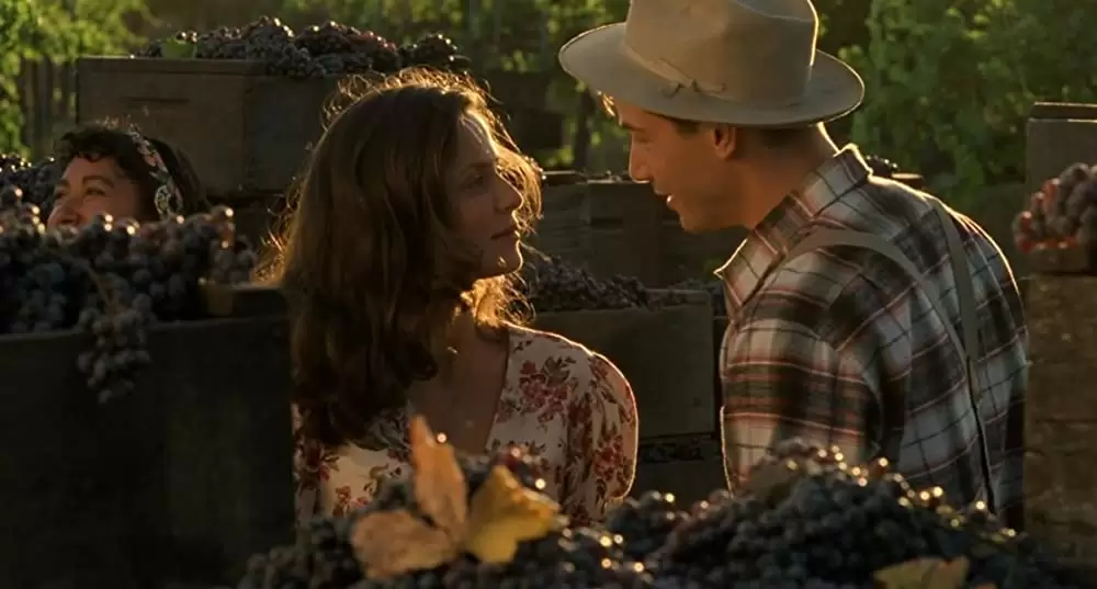 雲の中で散歩の画像