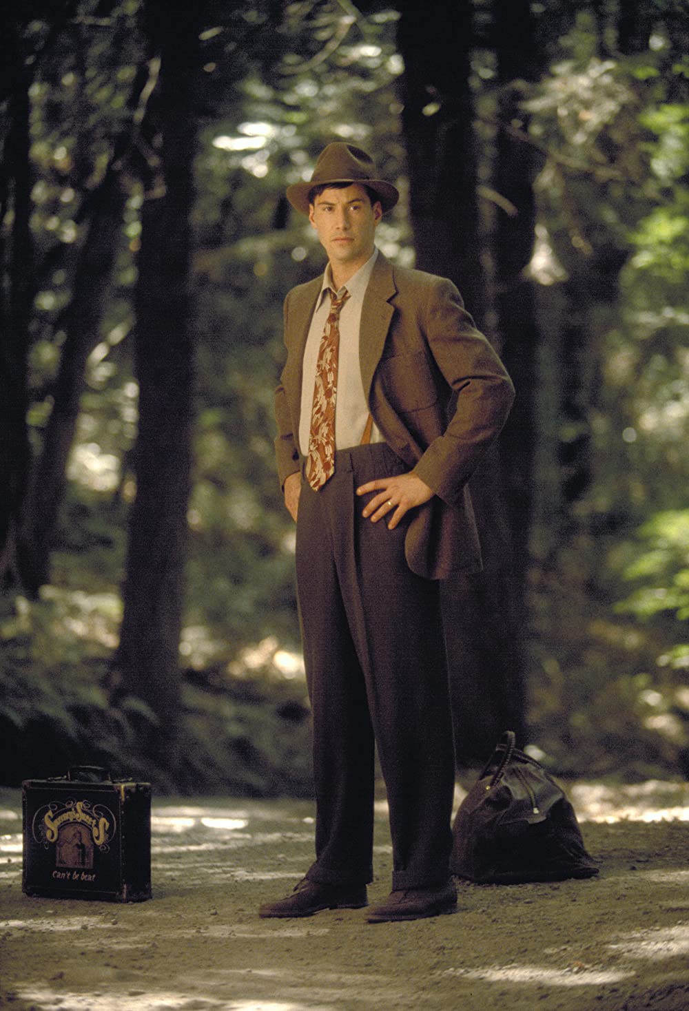 雲の中で散歩の画像