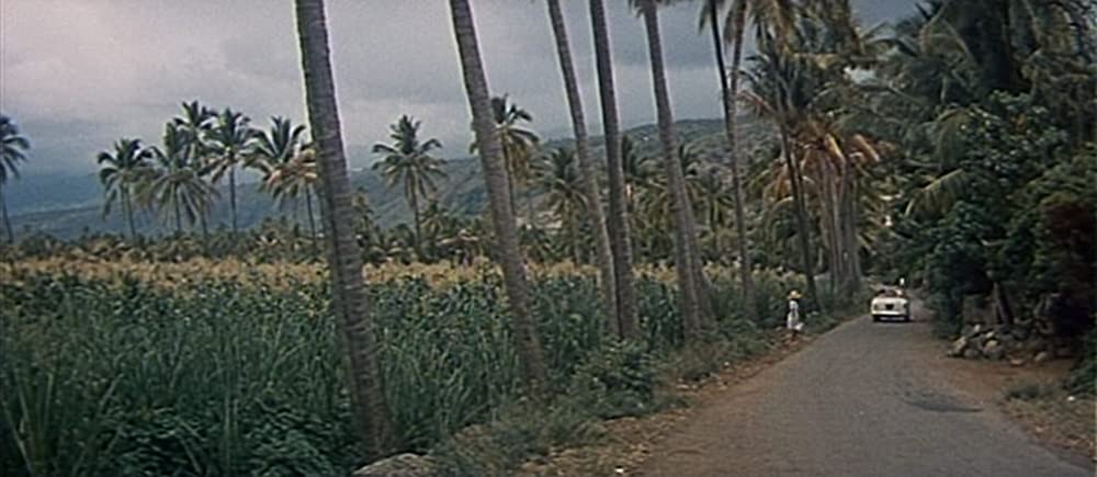 「暗くなるまでこの恋を」の画像