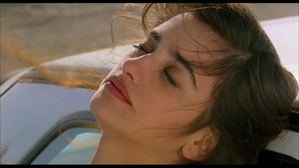 ハモンハモンの画像