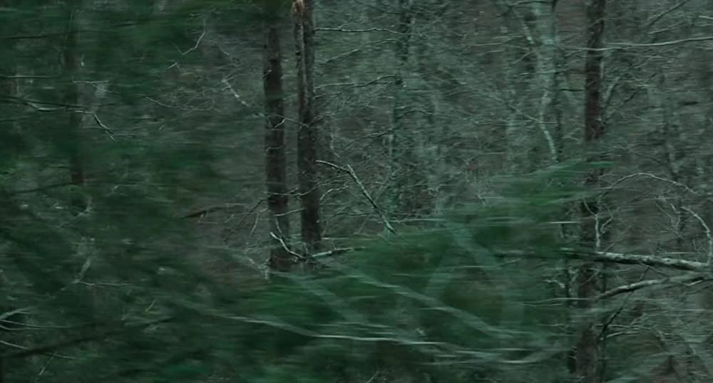 ディープ・コンタクトの画像