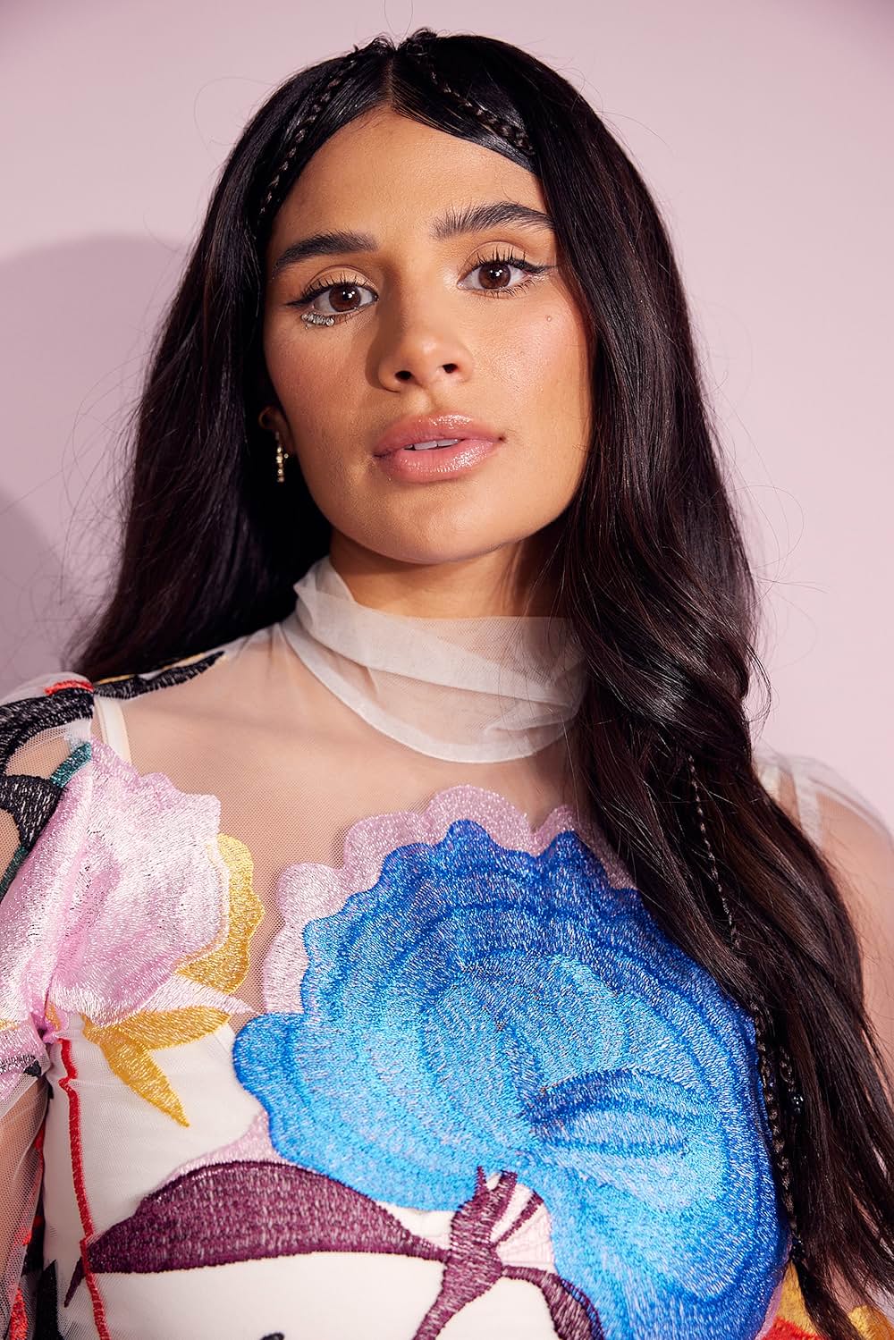 ミラベルと魔法だらけの家の画像