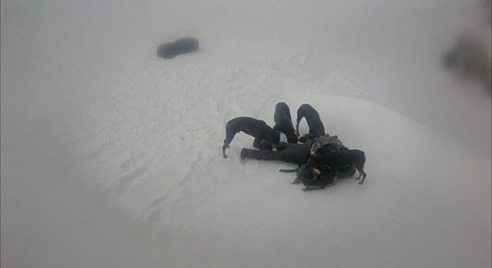 クィンテットの画像