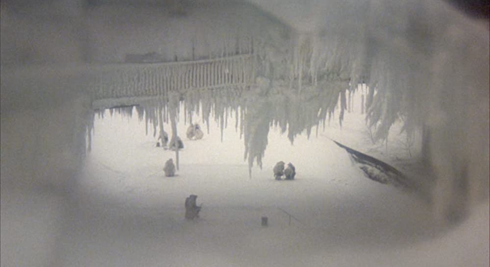 クィンテットの画像