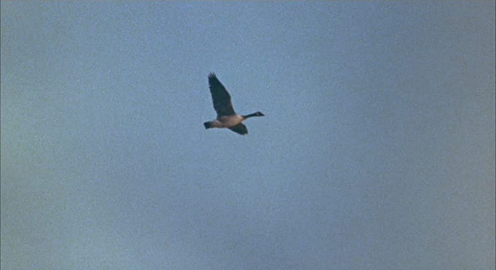 クィンテットの画像