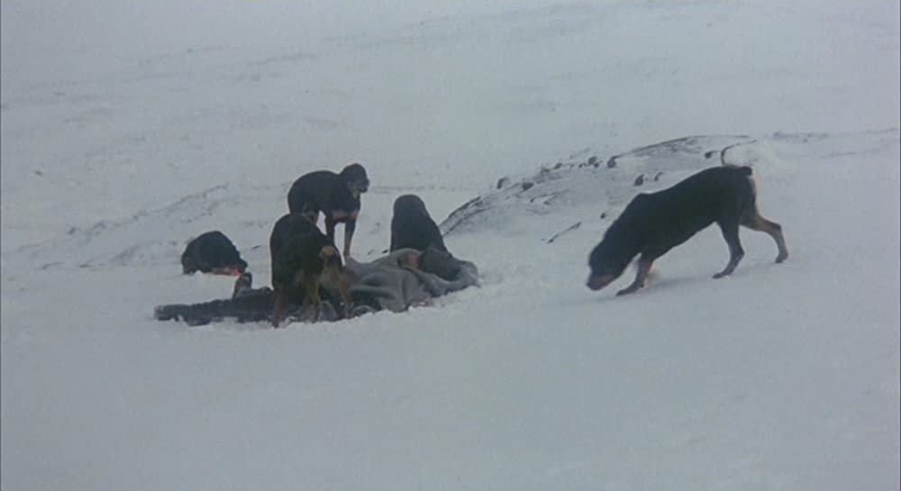 クィンテットの画像