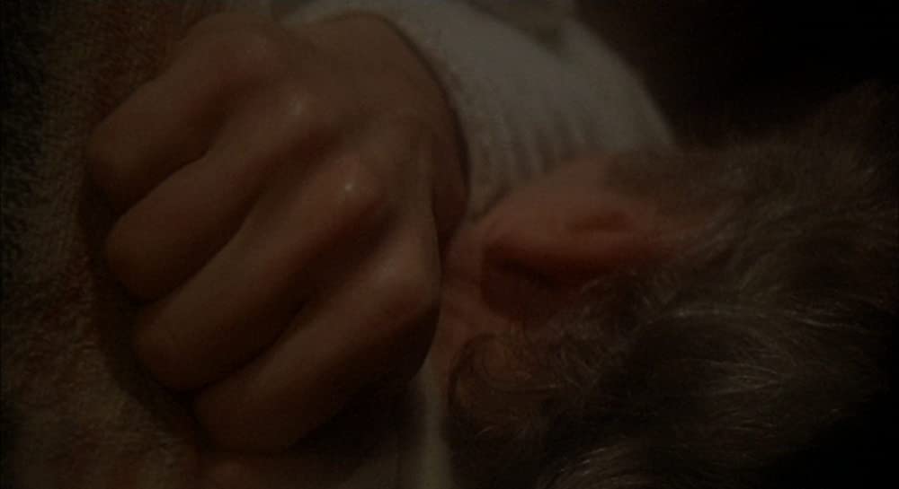 クィンテットの画像