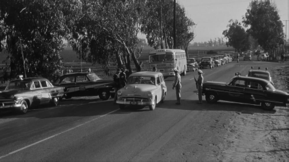 必死の逃亡者の画像